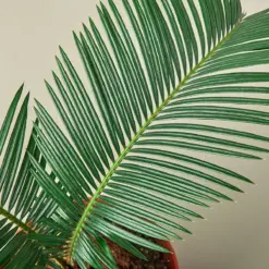 Sago Palm — leaf detail close-up